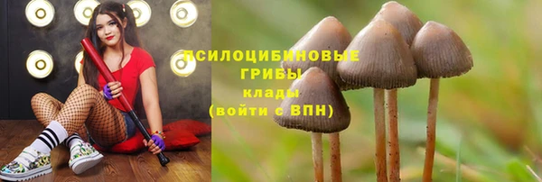 скорость Баксан