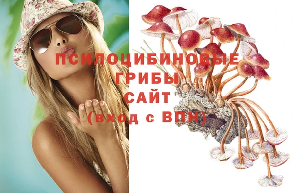 скорость Баксан