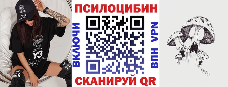 Псилоцибиновые грибы мицелий  Сокол 