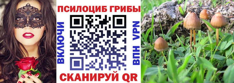 Галлюциногенные грибы GOLDEN TEACHER Сокол