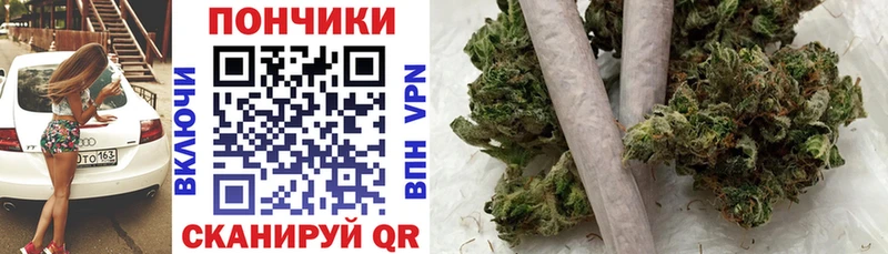 Шишки марихуана OG Kush  Сокол 